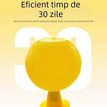 Capcană pentru muște de fructe în interior — material PP, design simplu, non-toxic, fără parfum