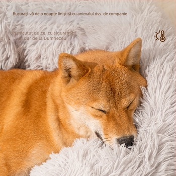 Pat din lemn pentru câine cu pernă de șezut - neimportat - Cod Jy755952010084