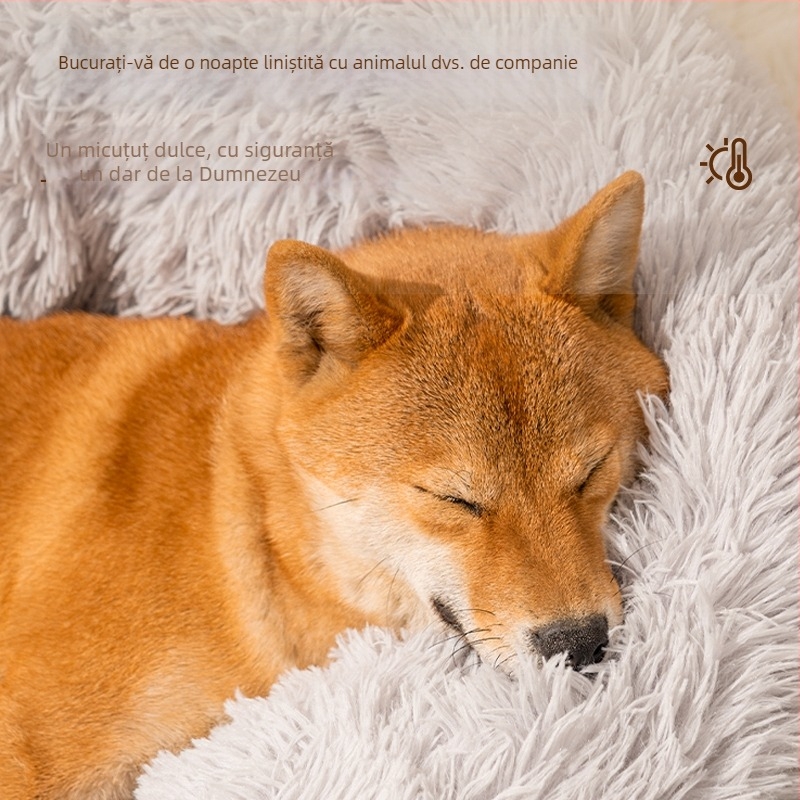 Pat din lemn pentru câine cu pernă de șezut - neimportat - Cod Jy755952010084