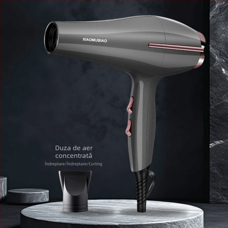 Uscător de păr profesional pentru salon, 850W, 2 viteze de flux de aer, duză concentratoare, protecție la supraîncălzire, 220V