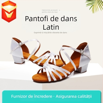 Pantofi de dans latino pentru adulți, unisex, talpă din piele, partea superioară din mătase, ușori, rezistenți la uzură