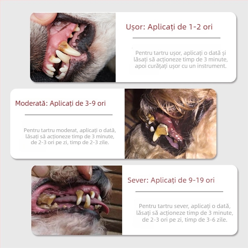 Pix de Curățare dinți pentru câini – Set pentru albire, îndepărtarea petelor și tartrului, corp din plastic, Favorite pet