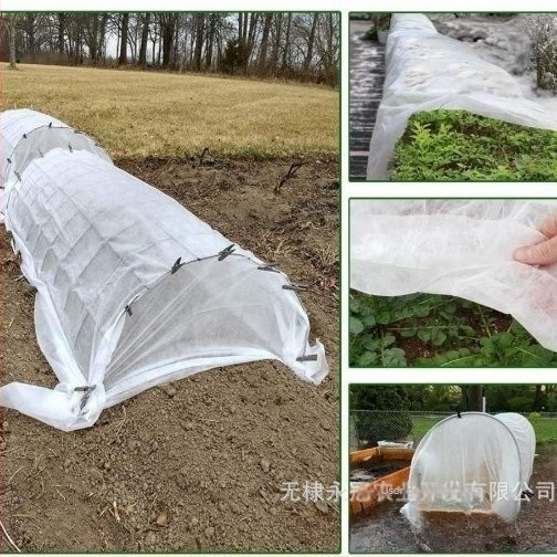 Pătură de protecție pentru plante din non-woven fabric, pentru protecția împotriva frigului, menține căldura și umezeala, Forever Crown.