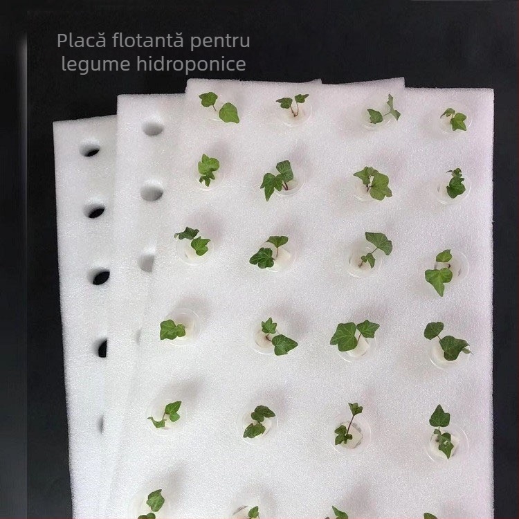 Placă hidroponică plutitoare pentru cultivarea legumelor în apă, cu găuri, material PE