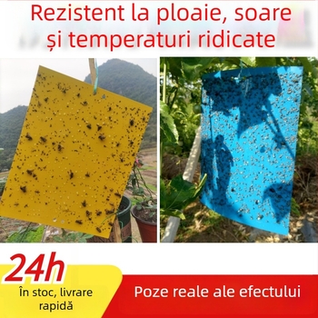 Placă lipicioasă pentru insecte, model C07, material PET, pentru controlul dăunătorilor în serele cu legume