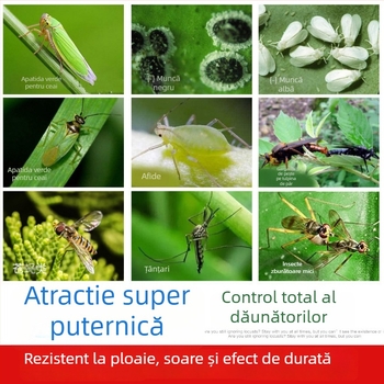 Placă lipicioasă pentru insecte, model C07, material PET, pentru controlul dăunătorilor în serele cu legume