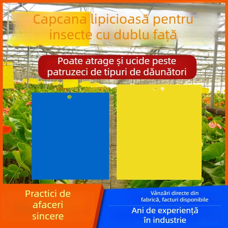 Placă lipicioasă pentru insecte, model C07, material PET, pentru controlul dăunătorilor în serele cu legume