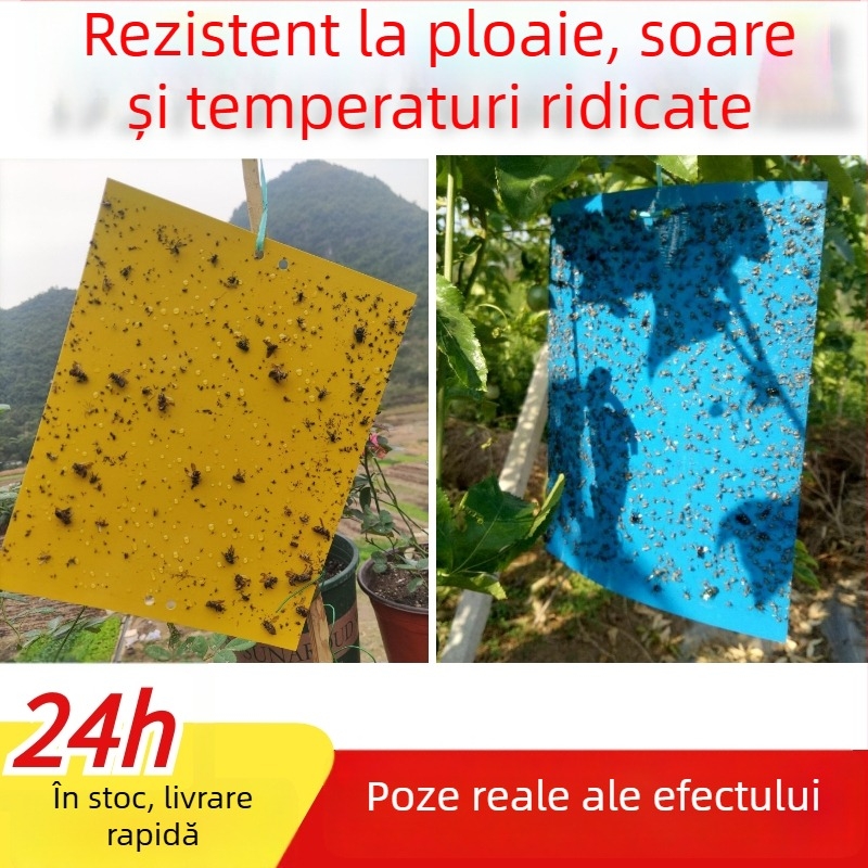 Placă lipicioasă pentru insecte, model C07, material PET, pentru controlul dăunătorilor în serele cu legume