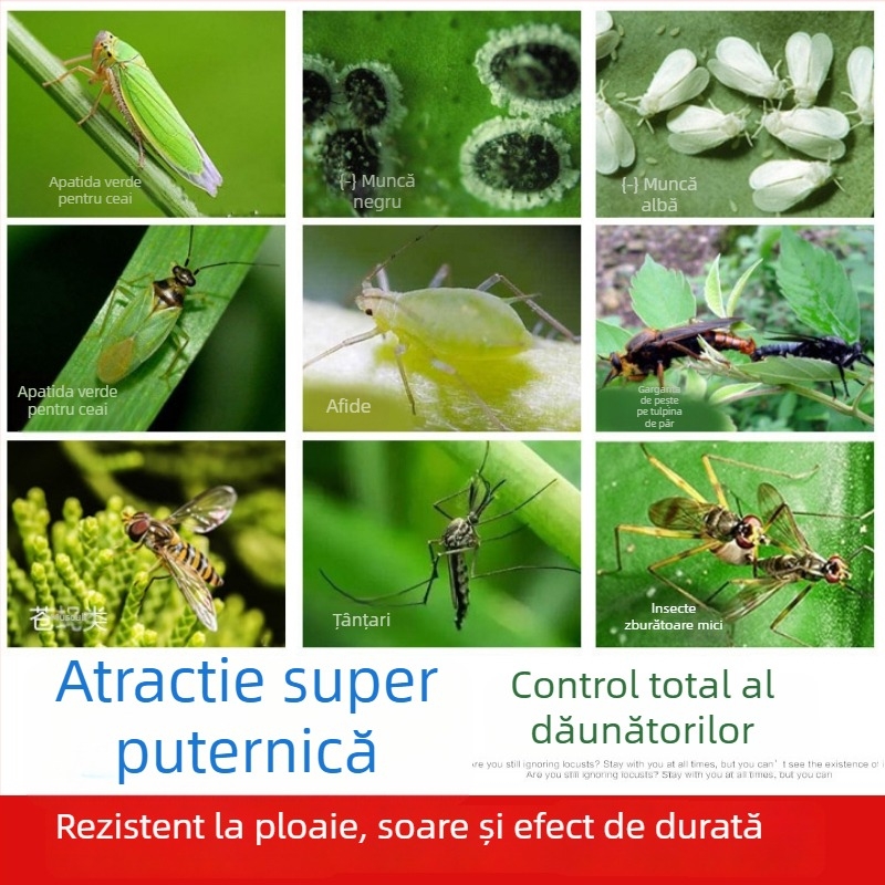 Placă lipicioasă pentru insecte, model C07, material PET, pentru controlul dăunătorilor în serele cu legume