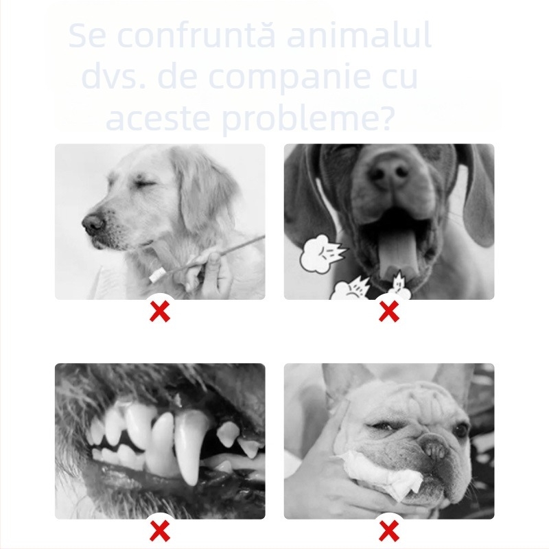 Pushino apă de gură pentru prospețimea respirației, lichid, utilizare generală