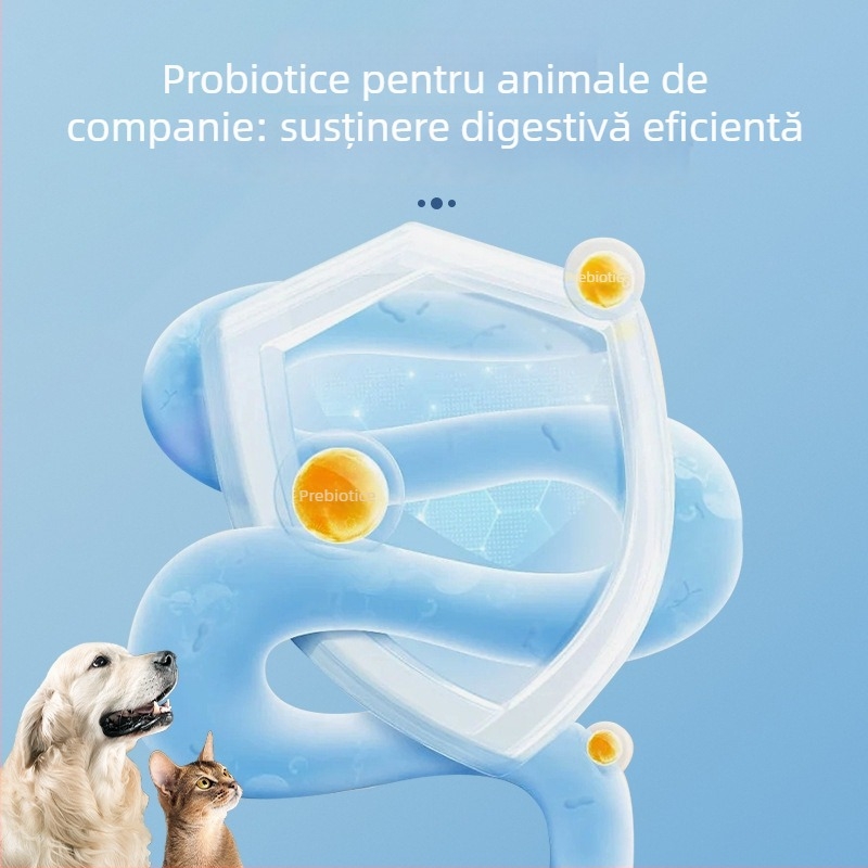 KIMHOME Lichid de gură pentru animale de companie – Respirație proaspătă, Îndepărtarea petelor de pe dinți, Îngrijire a gingiilor, Utilizare generală
