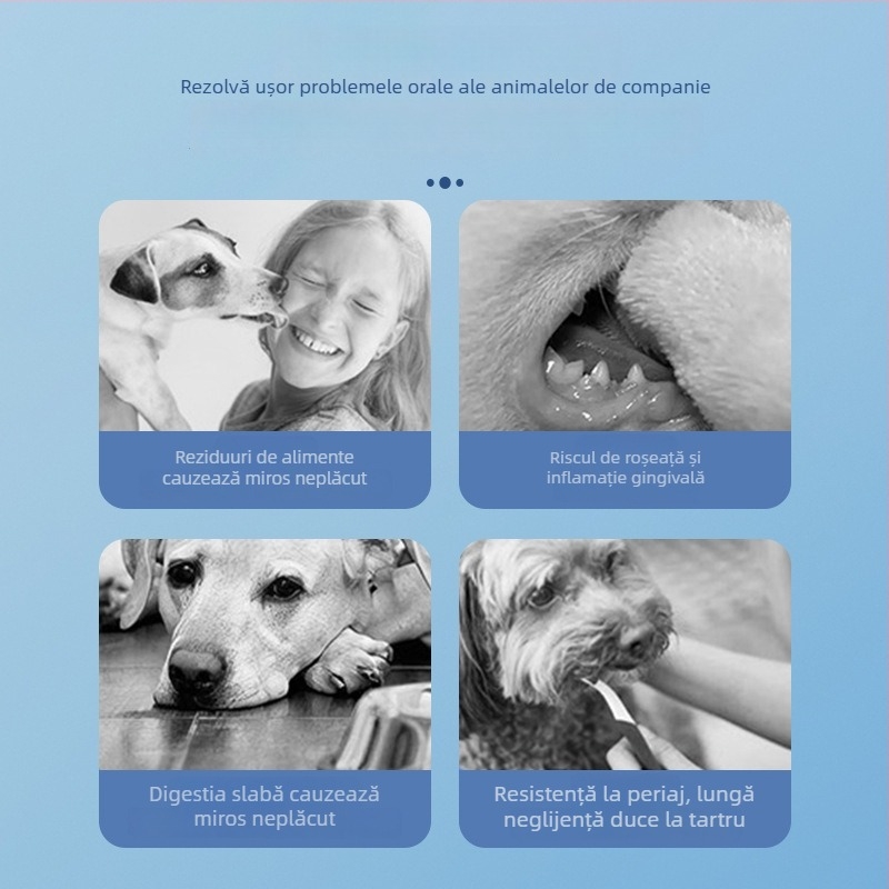 KIMHOME Lichid de gură pentru animale de companie – Respirație proaspătă, Îndepărtarea petelor de pe dinți, Îngrijire a gingiilor, Utilizare generală