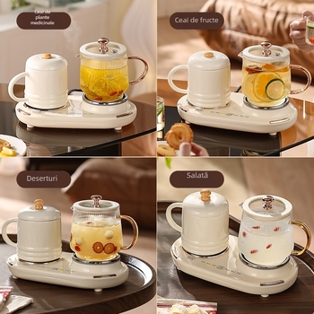 Ceainic pentru sănătate cu control al temperaturii, corp din sticlă borosilicat, 600 ml, 220V, 375W, control tactil, model WW-A36