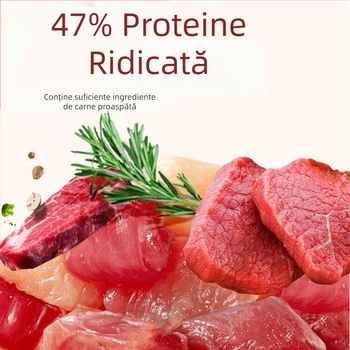 Crazy Water Grass hrană granulară pentru țestoase de apă – pentru țestoase tinere, cu proteine ridicate, tip granule, 300 g sau 500 g, hrană pentru animale de companie acvatice