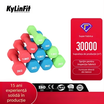 Gantere hexagonale cu acoperire mată, construcție encapsulată Li Jun, 2 specificații, pentru fitness și frumusețe (Li Jun; construcție encapsulată; 2 specificații; fitness și frumusețe)