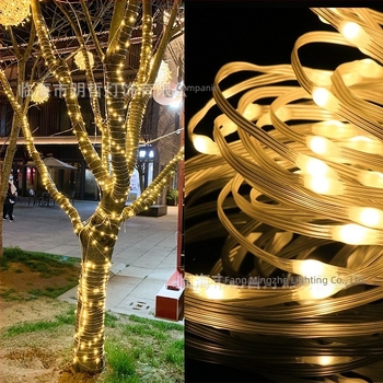 Șir LED cu cablu din piele pentru exterior (20 LED, IP65, alimentare cu baterii, telecomandă, ≤36V)