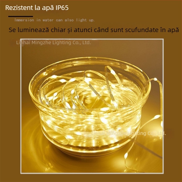 Șir LED cu cablu din piele pentru exterior (20 LED, IP65, alimentare cu baterii, telecomandă, ≤36V)