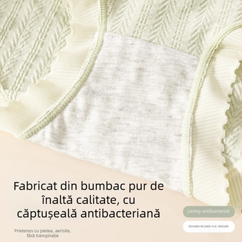 Lenjerie de maternitate, bumbac 95–100%, antibacterian, susținere abdominală, talie joasă.