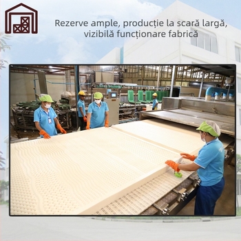 Perne de latex pentru adulți, formă unduită, înălțimea nucleului sub 5 cm, țesătură tricotată a nucleului, latex natural 90%+