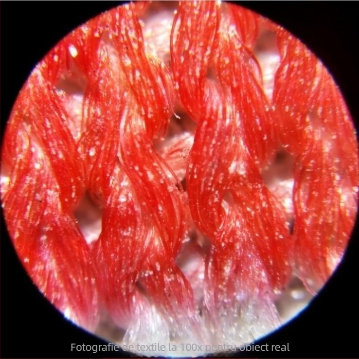 Microscop portabil cu LED, cu tuburi duble 100x, pentru identificarea bijuteriilor, porțelanului, antichităților, monedelor și timbrelor