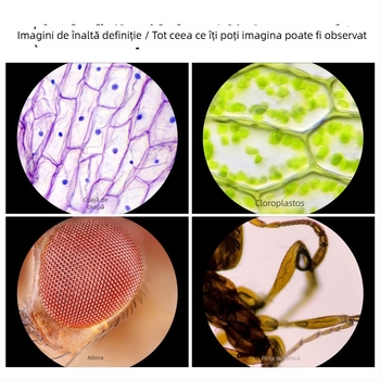 Microscop pentru copii — portabil, optic, electric, cu mărire mare, jucărie educațională științifică pentru copii 7–14 ani