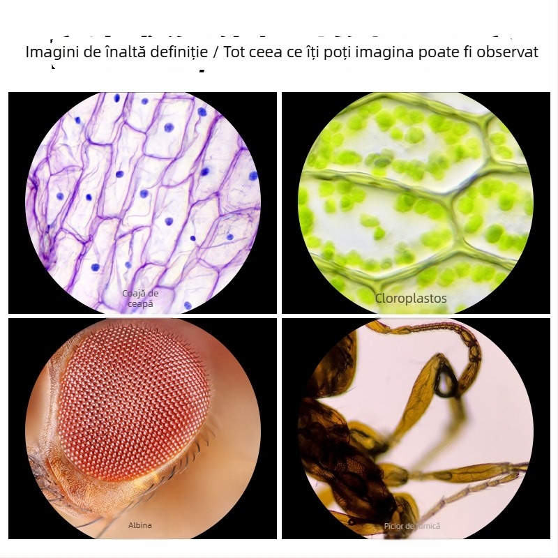 Microscop pentru copii — portabil, optic, electric, cu mărire mare, jucărie educațională științifică pentru copii 7–14 ani