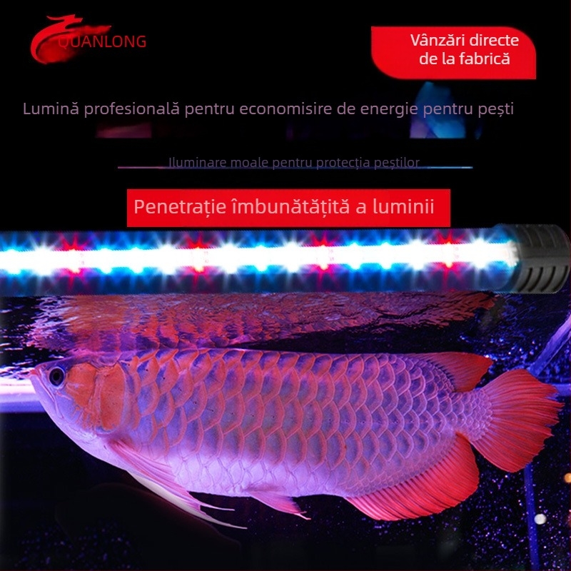 Lampă LED pentru acvariu Spring Dragon, 3W, sticlă, iluminare, 1 kg