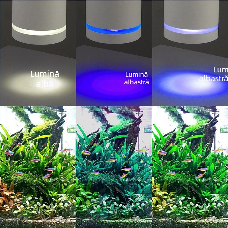 Spring Dragon ABS lampă suspendată pentru acvariu, origine Zhongshan