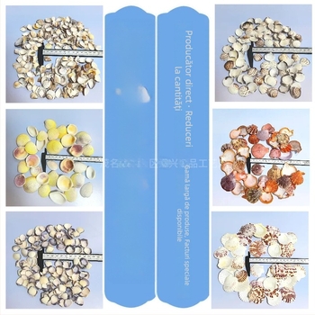 Decor natural din scoici și Steaua de mare pentru acvariu/terariu, cu găuri perforate, ramă foto handmade pentru copii, carillon DIY și sticlă drift