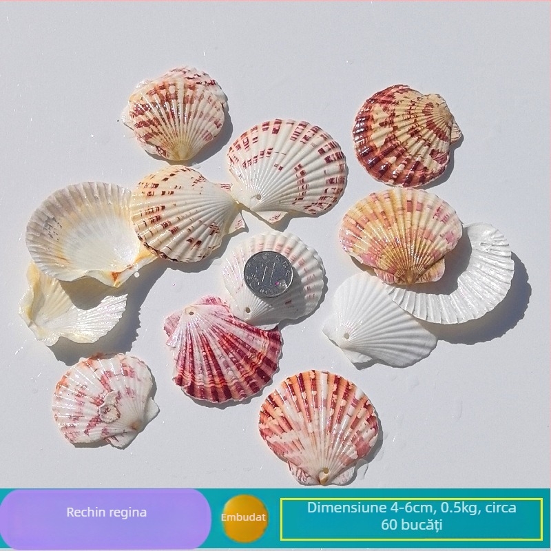 Decor natural din scoici și Steaua de mare pentru acvariu/terariu, cu găuri perforate, ramă foto handmade pentru copii, carillon DIY și sticlă drift