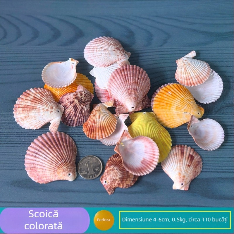 Decor natural din scoici și Steaua de mare pentru acvariu/terariu, cu găuri perforate, ramă foto handmade pentru copii, carillon DIY și sticlă drift