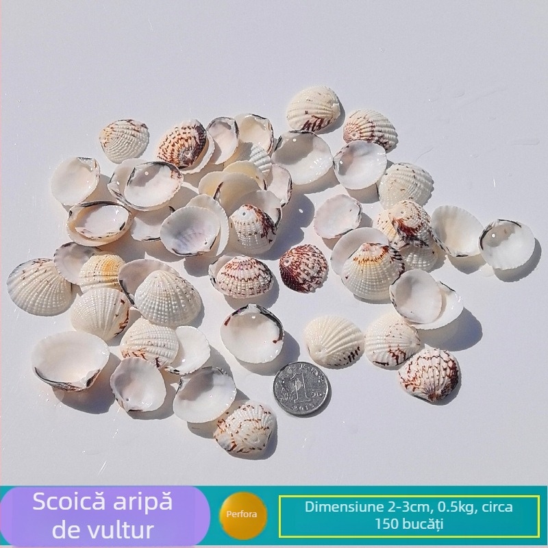 Decor natural din scoici și Steaua de mare pentru acvariu/terariu, cu găuri perforate, ramă foto handmade pentru copii, carillon DIY și sticlă drift