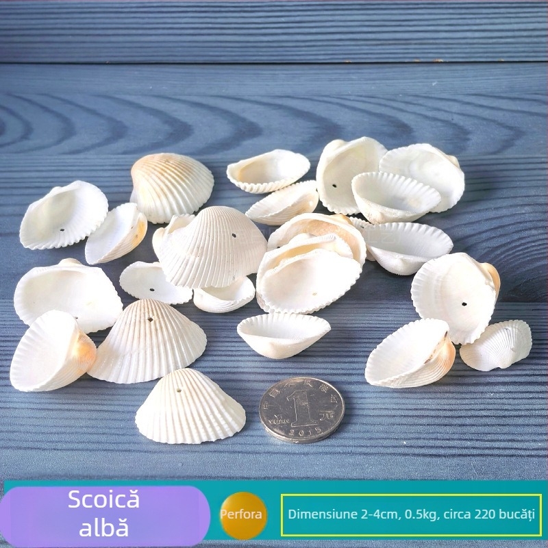 Decor natural din scoici și Steaua de mare pentru acvariu/terariu, cu găuri perforate, ramă foto handmade pentru copii, carillon DIY și sticlă drift