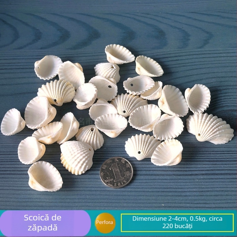 Decor natural din scoici și Steaua de mare pentru acvariu/terariu, cu găuri perforate, ramă foto handmade pentru copii, carillon DIY și sticlă drift