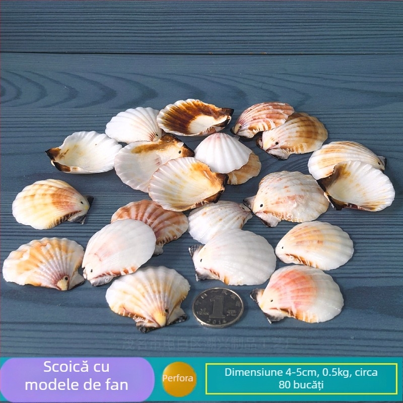 Decor natural din scoici și Steaua de mare pentru acvariu/terariu, cu găuri perforate, ramă foto handmade pentru copii, carillon DIY și sticlă drift