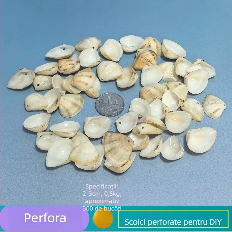 Decor natural din scoici și Steaua de mare pentru acvariu/terariu, cu găuri perforate, ramă foto handmade pentru copii, carillon DIY și sticlă drift