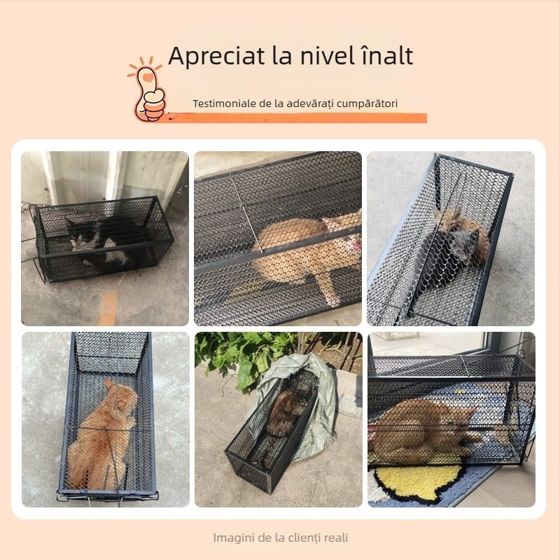 Power catch Capcană automată pentru pisici — proiectată pentru capturarea șobolanilor mari, cușcă de salvare pentru pisici de companie și animale fără stăpân, construcție non-toxică