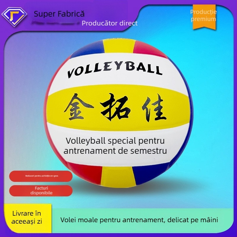 Volei de interior Ray Win Cards – PVC, cusături adezive, personalizabil, potrivit pentru școli