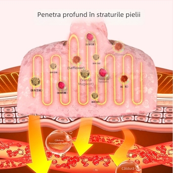 Aiyuantang Pachet cu sare pentru încălzire la umăr și gât, cu încălzire electrică – 60W, 220V, 30–50°C, material satin de mătase, 0.5kg, control temperatură în 9 trepte