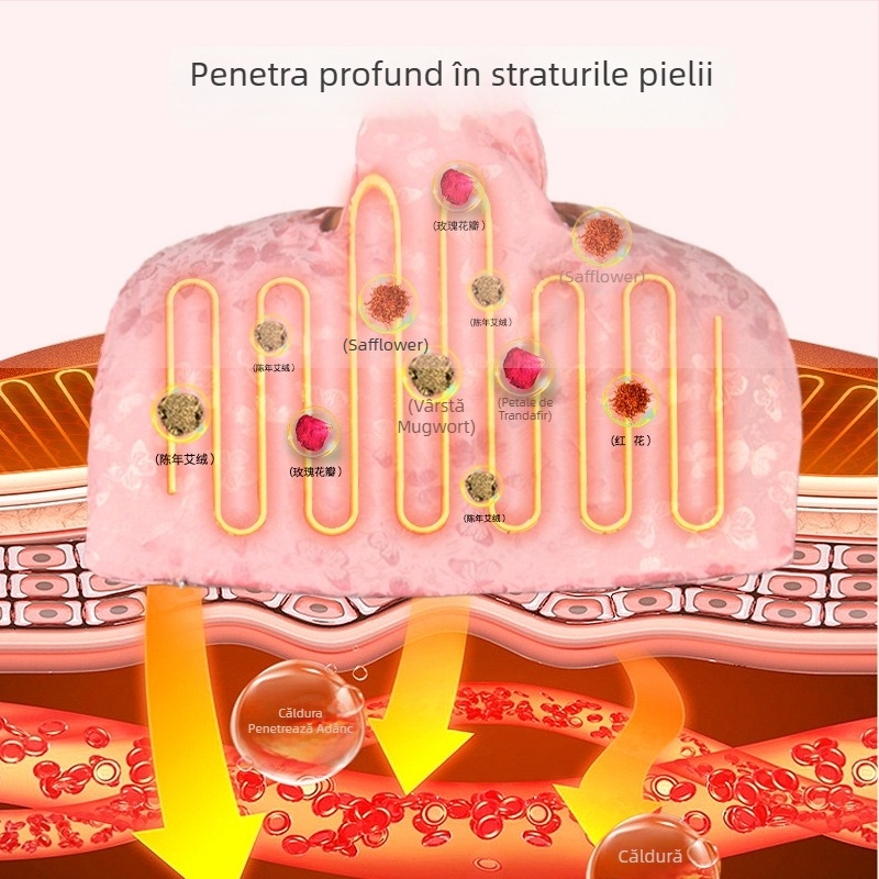 Aiyuantang Pachet cu sare pentru încălzire la umăr și gât, cu încălzire electrică – 60W, 220V, 30–50°C, material satin de mătase, 0.5kg, control temperatură în 9 trepte