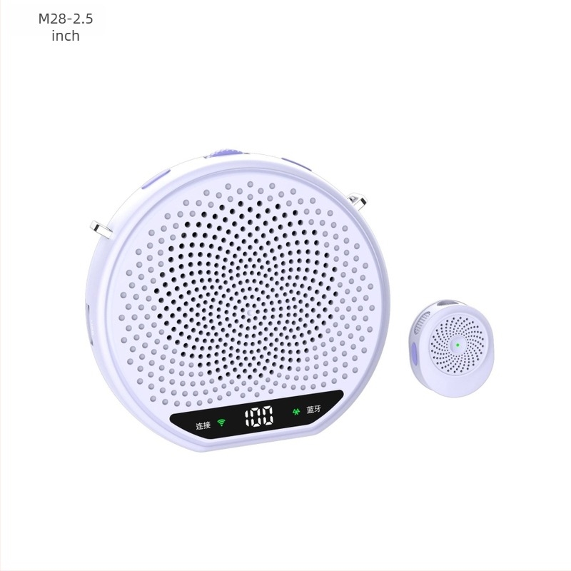 GT13 Amplificator wireless cu microfon lavalier pentru lecții, 0,5W putere de ieșire, răspuns în frecvență 100 Hz-20 kHz, SNR ≥95 dB, autonomie baterie 6-8 ore