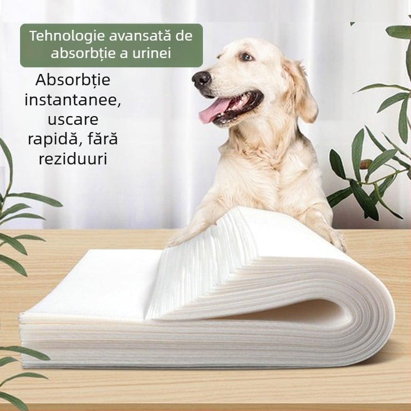 Hârtie absorbantă pentru urina câinilor Teddy — de unică folosință, barieră pentru urină, material nețesut