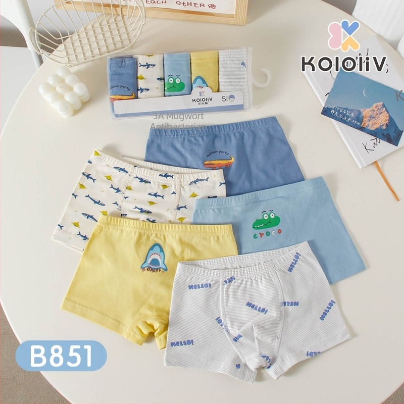 Boxeri pentru băieți, 100% bumbac, Clasă A, pentru copii peste 8 ani (peste 140 cm), Primăvara 2024