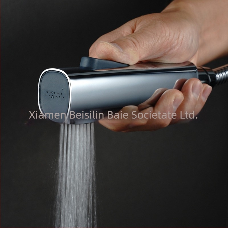 Pistol de duș pentru toaletă cu două funcții, corp ABS, set de tijă reglabil pentru baie | presiune nominală 5 kg | temperatură de operare 0–80°C