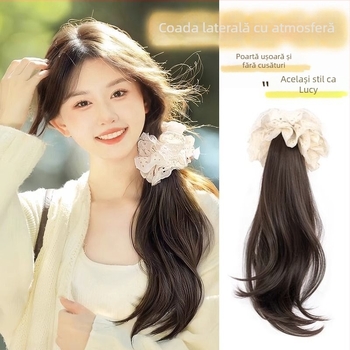 Perucă cu coadă împletită, stil coreean – coadă laterală delicată, sârmă rezistentă la temperatură, nu poate fi vopsită
