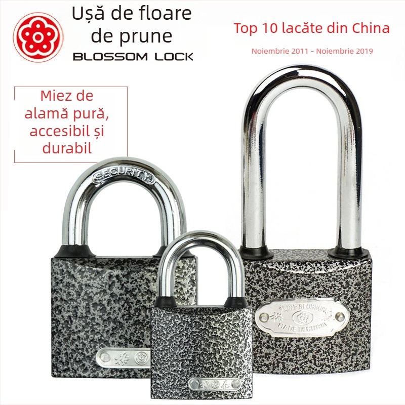 Lacăt BC12, fier, utilizare casnică, pentru sertare, genți și dulapuri, stil modern minimalist