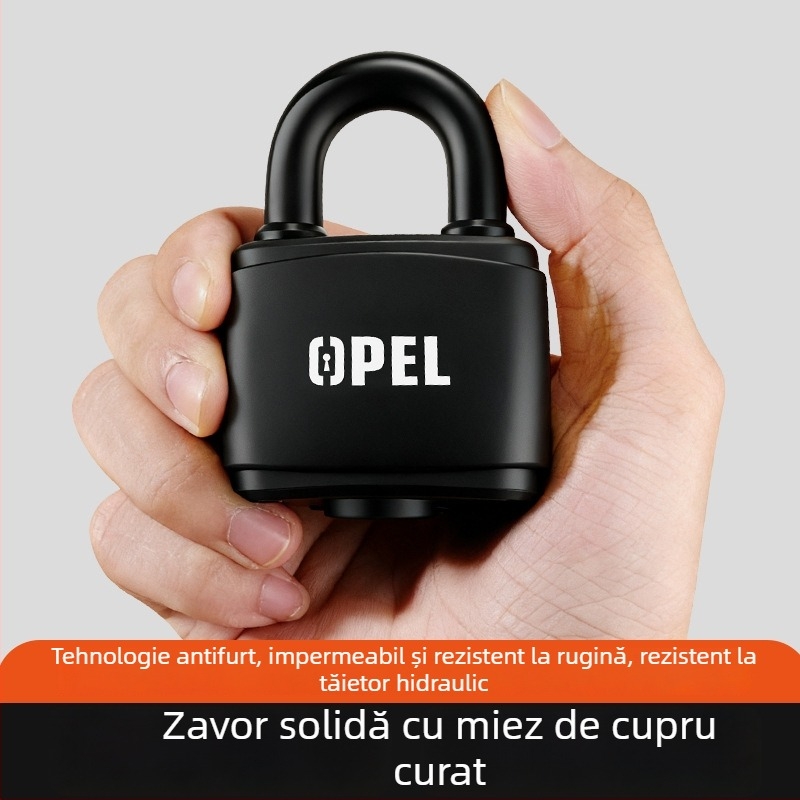 Bwqc-n1 Lacăt cu carcasă impermeabilă — Deschiderea directă, construcție PVC-Fier-Cupru, pentru dulapuri, uși de încăperi și depozite, marcă privată autorizată