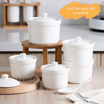 Recipient ceramic pentru baie de abur cu capac, pentru supe cu nest de pasăre și budincă de ou, ceramică pentru bucătărie hotelieră, stil minimalist chinezesc, lansat în 2024