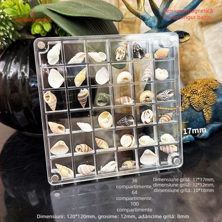 Cutie acrilică cu compartimente magnetice și ramă foto cu scoică, față și verso, mini spațiu de depozitare pentru bijuterii, stil modern minimalist