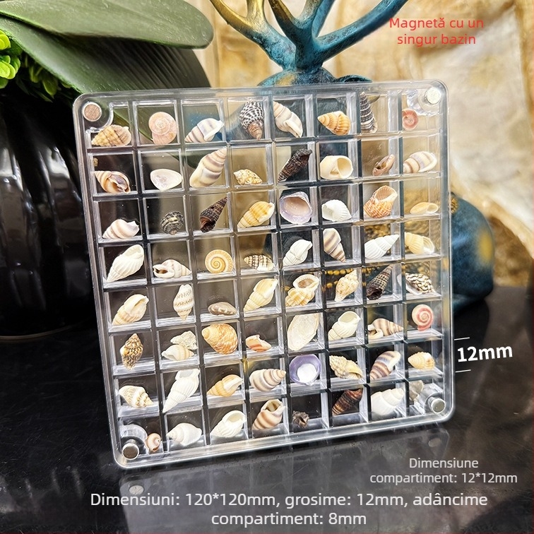 Cutie acrilică cu compartimente magnetice și ramă foto cu scoică, față și verso, mini spațiu de depozitare pentru bijuterii, stil modern minimalist